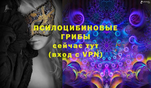 гашик Верхнеуральск