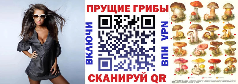 Псилоцибиновые грибы прущие грибы  Краснотурьинск 