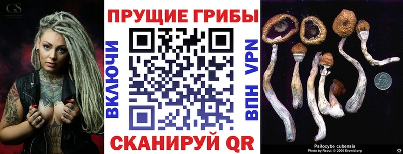 Псилоцибиновые грибы Psilocybe Краснотурьинск